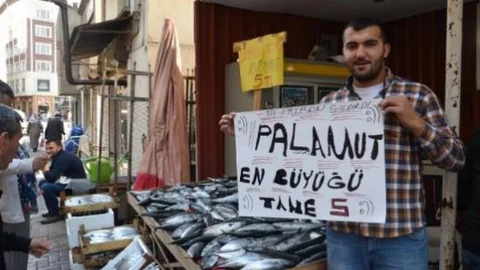 Denizlerde Balık Bereketi