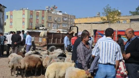 Kilisliler Kurbanlık İçin Pazara Koştu