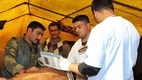 Keçiören'de Gebe Kurbanlıklara Geçit Yok