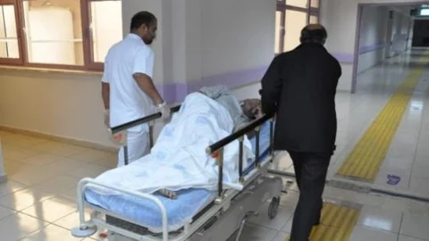 Ayının Saldırısından Satırla Kurtuldu