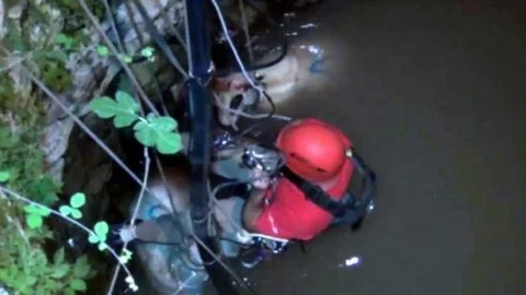 Bodrum Akut'tan Kurbanlık Kurtarma Operasyonu