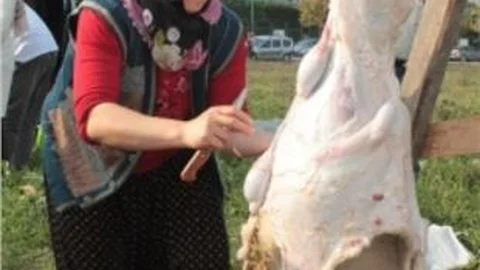 Kadın Kasaplar Erkekleri Aratmadı