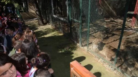 Hayvanları Koruma Günü Kutladı