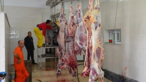 Fatsa Mezbahası Tam Not Aldı