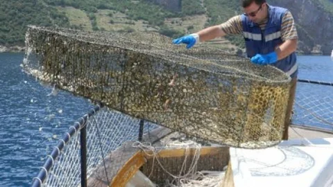 Canlılara Zarar Veren 45 Ton Ağ Denizden Çıkarıldı