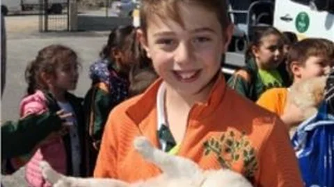 Hayvan Barınağına Miniklerden Ziyaret