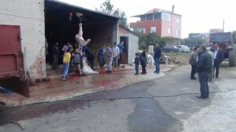 Tekirdağ'da Kurbanlıkların Kesimine Başlandı