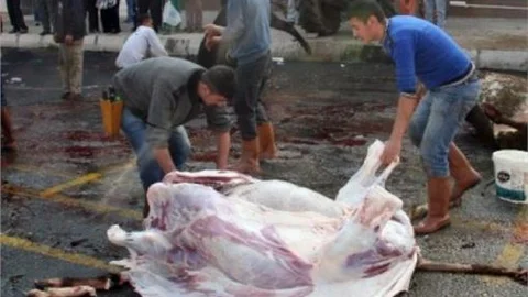 Afyonkarahisar'dan Kurban Bayramı Manzaraları