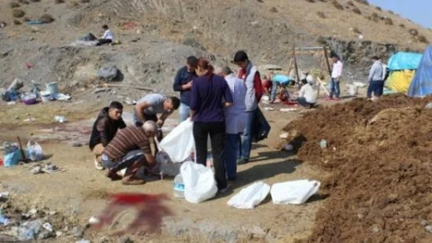 (özel Haber) Bu Da Mecburi Kaçak Kesim