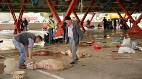 Osmangazi'de Örnek Kurban Kesimi