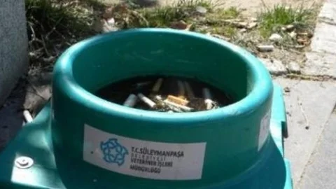 Hayvanların su kapları sigara izmaritleri ile doldu!