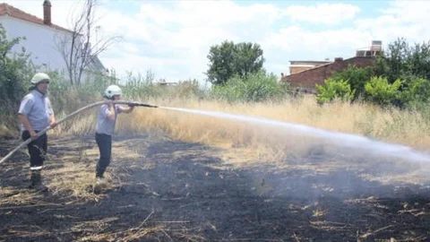 Nazilli'de 3 hektar ziraat alanı kül oldu!