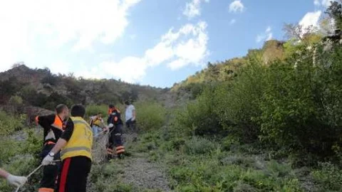 Çaşur Toplarken Canından Oldu