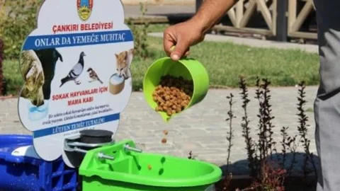 Sokak Hayvanları Aç Susuz Kalmayacak