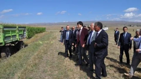 Arpaçay'da Tarla Günü