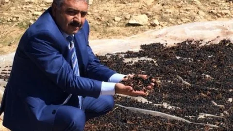 Ekşikara Üzümü Karaman'ın Markası Olacak