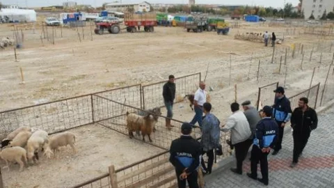 Karaman'da Kurban Satış Ve Kesim Yerleri Belirlendi