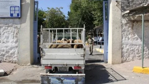 Mahkumların Kurbanlıları Başkan Ekinci'den