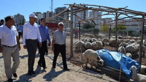 Mezitli Belediyesi Bayrama Hazır