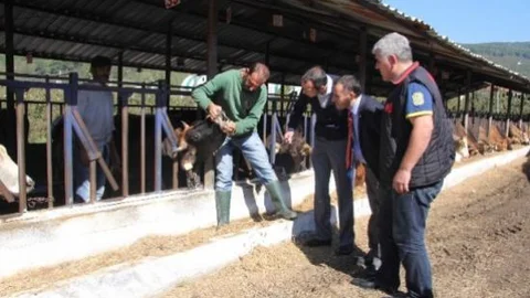 Hendek'te Kesimhaneler Denetlendi