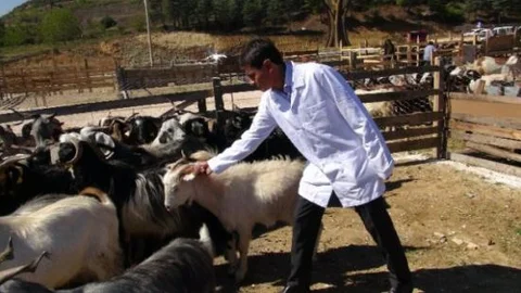 Bilecik Belediyesi'nden Hayvan Pazarında Denetim