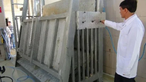 Bilecik Belediyesi Mezbahası Kurbana Hazır