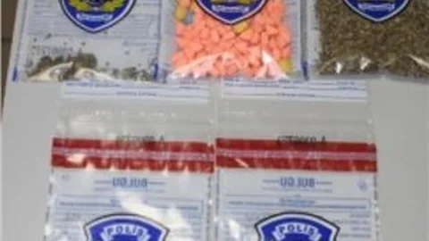 Tokat'ta Bonzai Ele Geçirildi