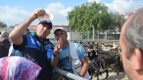 Gelibolu Polisinden Dolandırıcılığa Karşı Uyarı