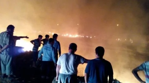 Demre'de Çıkan Yangın Paniğe Neden Oldu