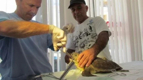 Balıkçılara Paragat İğnesi Uyarısı