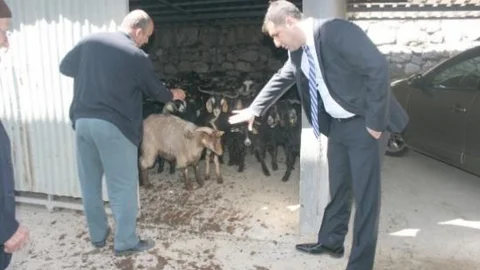 Yetimler Sultanı Projesi