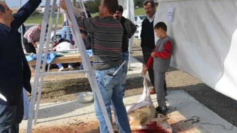 Kesim Yerleri Dışında Kurban Kesenlere Ceza