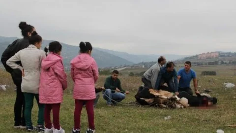 Kurbanlar Çocukların Gözleri Önünde Kesildi