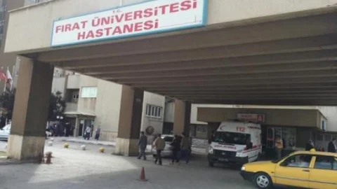 Elazığ'da 33 Kişi Kurban Keserken Kendini Yaraladı