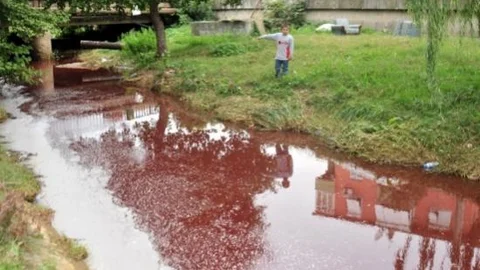 Yalova'da Derelerden Yine Kan Aktı