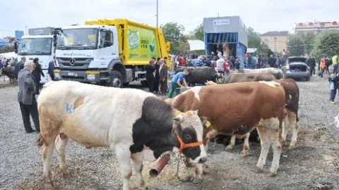 Bağcılar'da İzinsiz Alanlarda Kurban Kesimine Göz Açtırılmadı