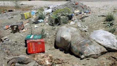 Gömülmeyen Sakatatlar Tehlike Saçıyor