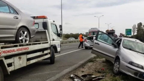 Sahibinden Kaçan Dana Zincirleme Kazaya Neden Oldu