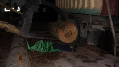 Artvin'de Tomruk Kazası: 1 Ölü 1 Yaralı