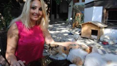 Kedi Ve Köpekleri Barıştıran Pansiyon