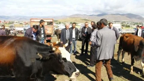 Vali Deniz Hayvan Pazarını Gezdi