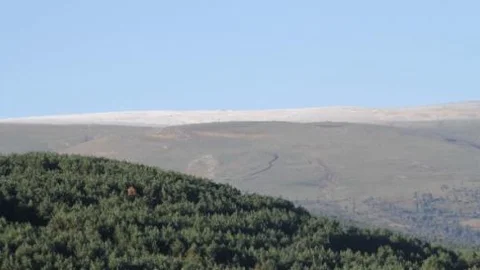 Ardahan'a Yılın İlk Karı Yağdı