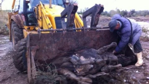 Sungurlu'da Sel Felaketi