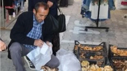 Mantar Satan Aile Yedikleri Mantardan Zehirlendi