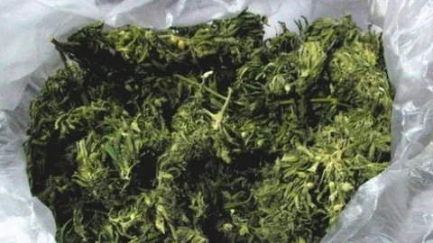 Afyonkarahisar'da Esrar Ve Eroin Operasyonları