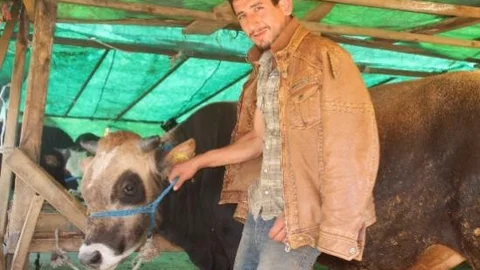Kurbanlıklar Alıcı Bekliyor