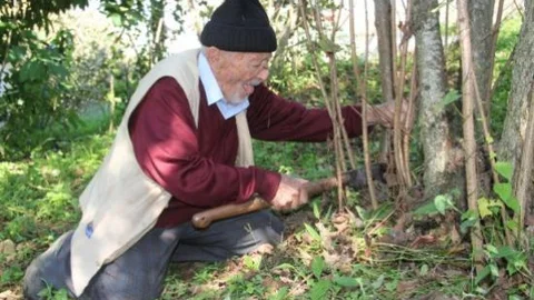 Giresun'da Uzun Yaşamanın Sırrı