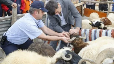 Kurban Satış Yerleri Vatandaşı Memnun Etti
