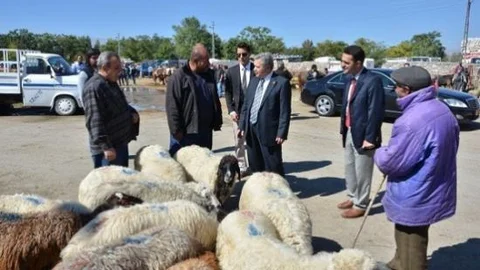 Erzincan Valisi Süleyman Kahraman Hayvan Pazarında İncelemelerde Bulundu
