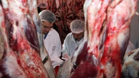 Yenimahalle Belediyesi'nden Kurban Uyarısı